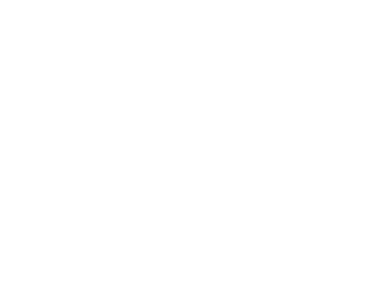 Iata Logo